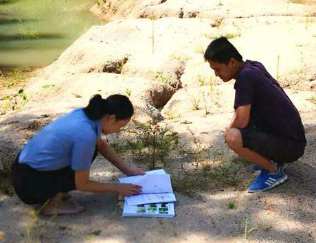 什么是非法占用农用地罪？如何进行判罚？