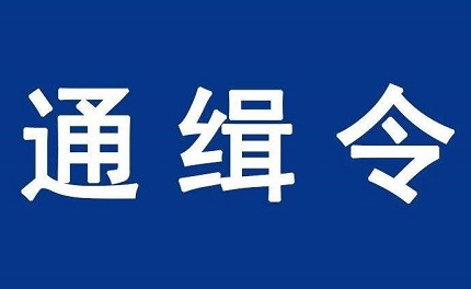 通缉令等级划分标准