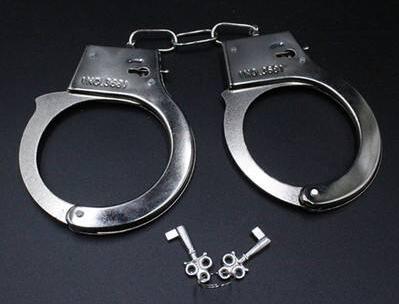 深圳警方逮捕行动现场直击 犯罪嫌疑人落网全过程 最新逮捕案件进展追踪 深入解析逮捕令执行细节 法律专家解读逮捕条件与程序